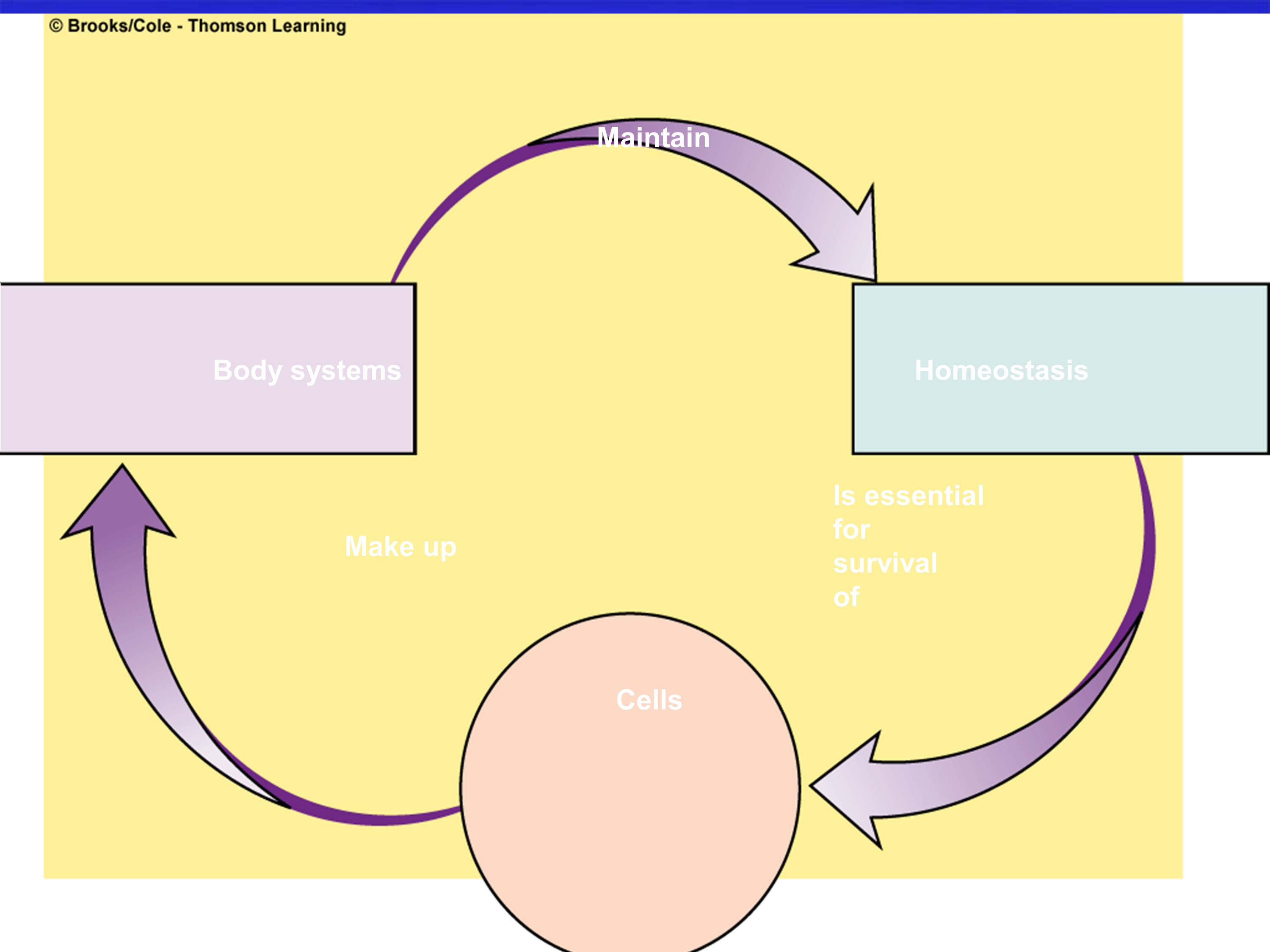 No preview available